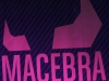 41