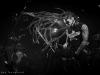 2-amorphis-28