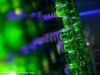 _MG_0744
