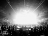 corsten15_dreamwolf_001.jpg