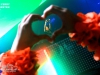 corsten15_dreamwolf_149.jpg