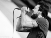 _MG_0554
