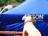 IMG_1250-2