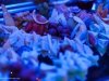 _MG_0021