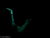 IMG_9981