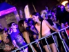 neon2016-005_credit_jan_vlk_dreamwolf