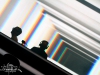 neon2016-032_credit_jan_vlk_dreamwolf
