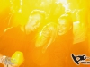 wakelake0716_051_credit_jan_vlk_dreamwolf