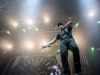 1-zebrahead-11