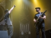 1-zebrahead-22
