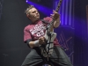 1-zebrahead-3