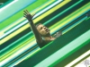 edmania17_084_credit_jan_vlk_dreamwolf