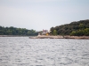 _DSC0469 2 copy