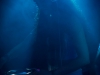 SPI_6798-20160326-Uhu-Eargasmic-GiuseppeOttaviani