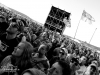franz_ferdinand_2015_dreamwolf_13