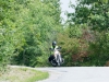 _DSC7382_Dxo