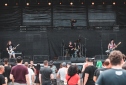IMG_8061topfest