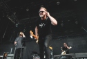IMG_8888topfest