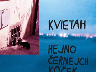 Skládá od jedenácti let, své první veřejné album Hejno černejch koček vydává Kvietah na labelu Divnosti