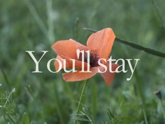 Vokálna skupina For You vydáva Lyric video Stay in my heart 