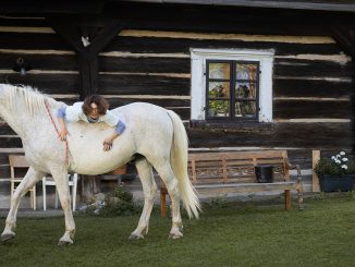 Režisérka Alice Nellis do svojho nového filmu Buko obsadila vlastného koňa