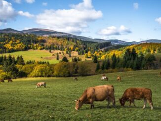 Top 3 prírodné miesta, ktoré sa oplatí navštíviť na Slovensku