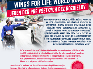 info_sheet_Wings-for-Life-World-Run