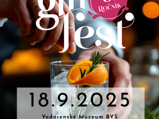 GINFEST2025 HEAD  (Príspevok na Instagram (4  5)