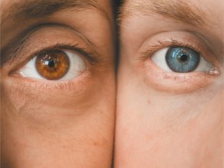 Barbora Polakova Stepan Urban lito