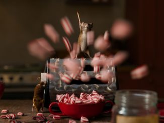 Rodinný film Myši v akcii: Vianočná pasca predstavil trailer m6