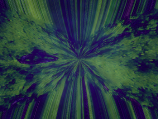 Na prestížnom festivale dokumentárnych filmov IDFA sa ukážu aj slovenské filmy a projekty Bardo_4