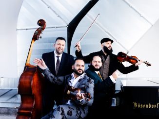 JanoskaEnsemble©JuliaWesely_small-1453