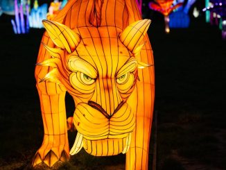 Winter Wonderland očaril: Jozef Oklamčák po 60 rokoch neodolal kolotočom! Wonderland_BA_01