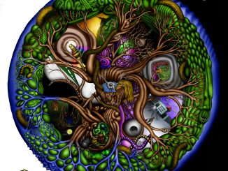 individual_single_lessthan10