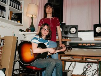 mailinglist-lemon_twigs