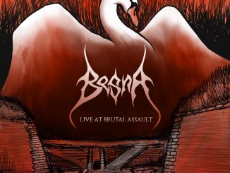 BESNA_LIVE_ALBUM_COVER